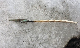 This arrow made of antler and tipped with 99.9% pure copper, is estimated to have been manufactured around 1080 AD.  It was found in melting ice in 2016 on the traditional territory of the Carcross/Tagish First Nation  south of Whitehorse, Yukon. Photo Credits: Government of Yukon [20]