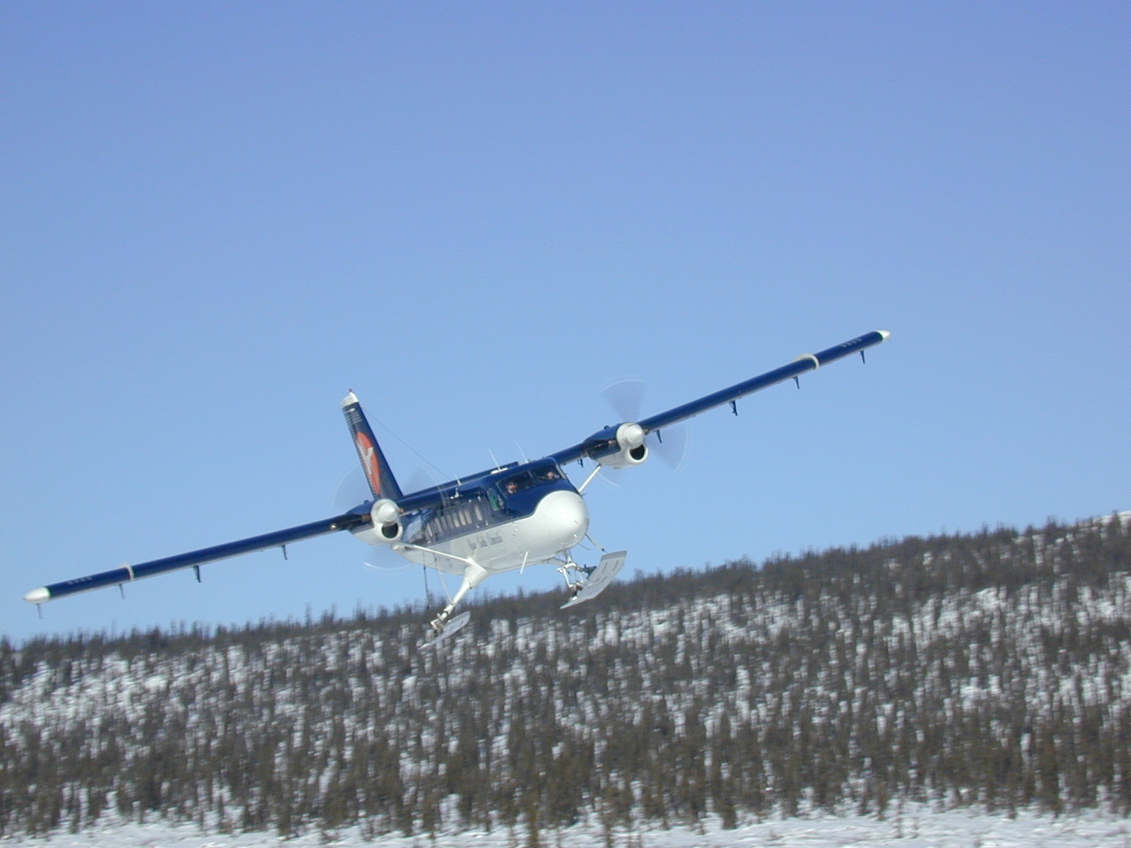 A DeHavilland DC-6 "Twin Otter“ plane either taking off or landing, with short coniferous trees and snow below the horizon.