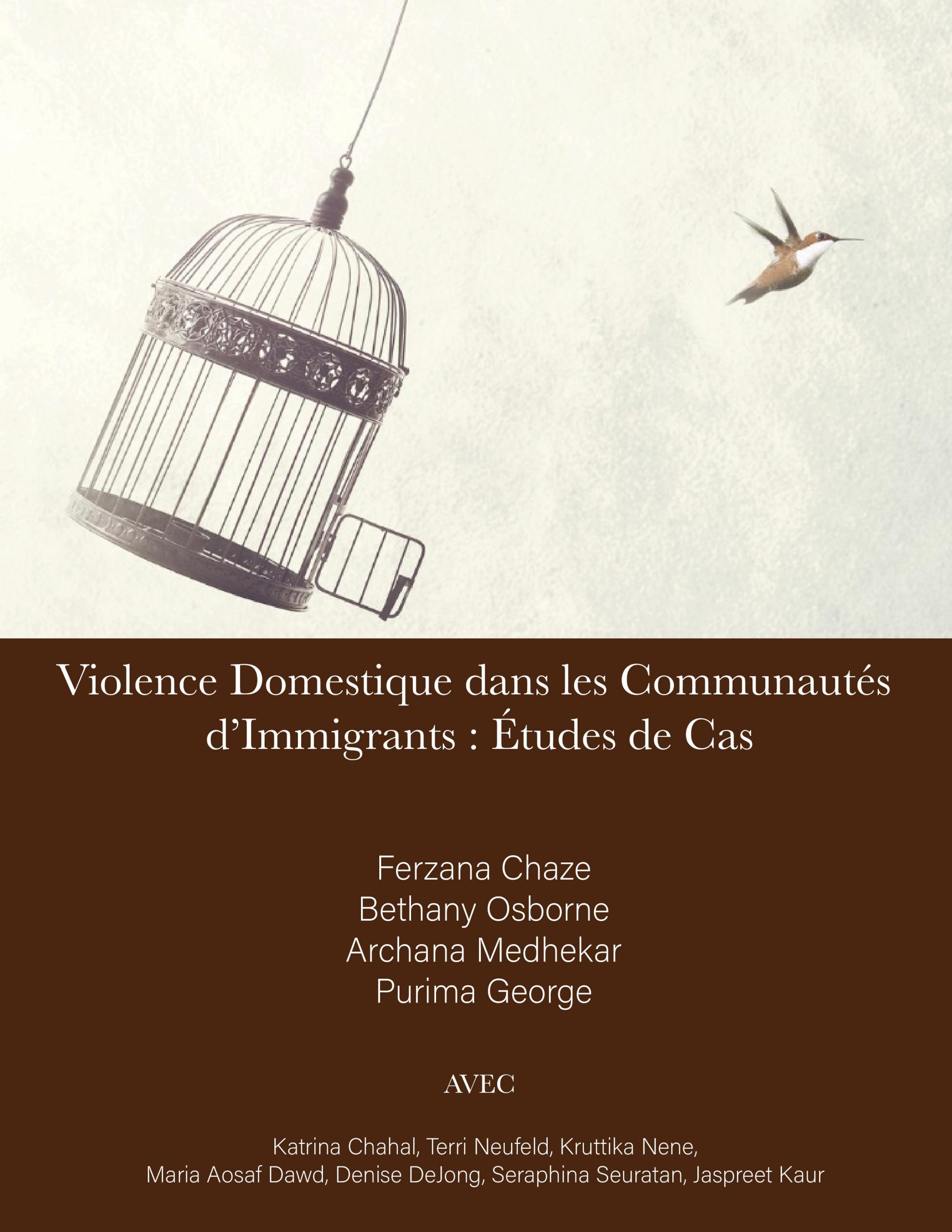 Page couverture de Violence Domestique dans les Communautés d’Immigrants: Études de Cas