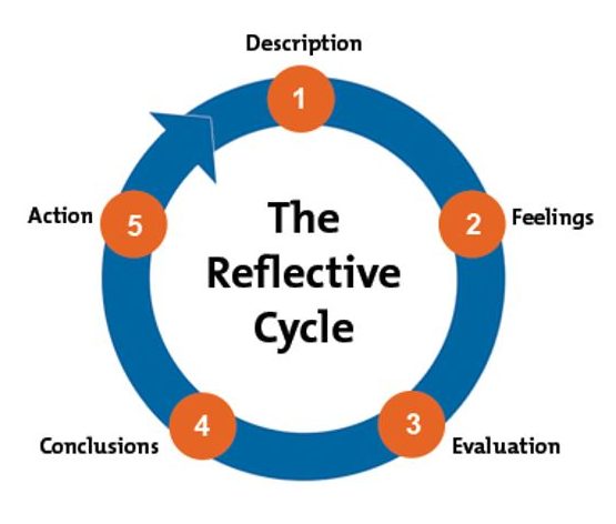 The reflective cycle of a response.