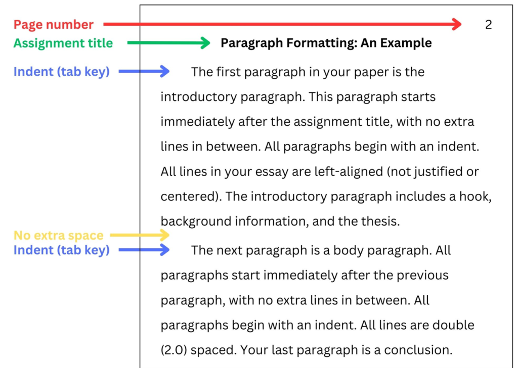 how do you write in apa essay format