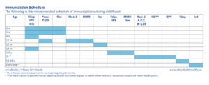 Photo of an immunization schedule