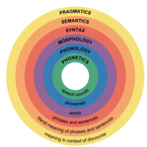 Circular shape with multicoloured rings. Each ring is a branch of linguistics. From inside out: phonetics, phonology, morphology, syntax, semantics, pragmatics. 