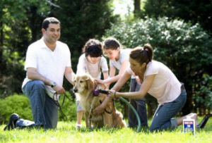 Family gathered around a golden retreiver giving it a bath with a a hose. 