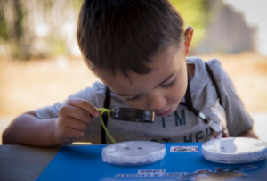 Child looking through a magnifying glass at a petri dish. 