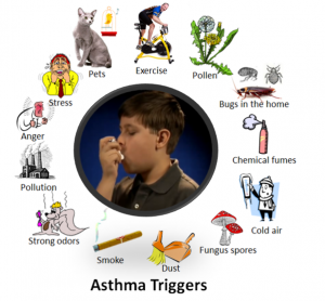 Image of asthma triggers: pets, exercises, pollen, bugs in the home, chemical fumes, cold air, fungus spores, dust, smoke, strong odors, pollution, anger, stress