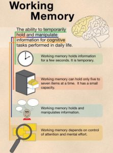 infographic of working memory. See long description.