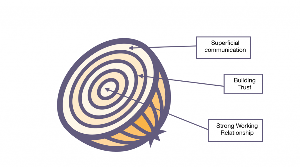 Diagram of the inside of an onion. Image description available. 