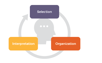 sensation perception and attention