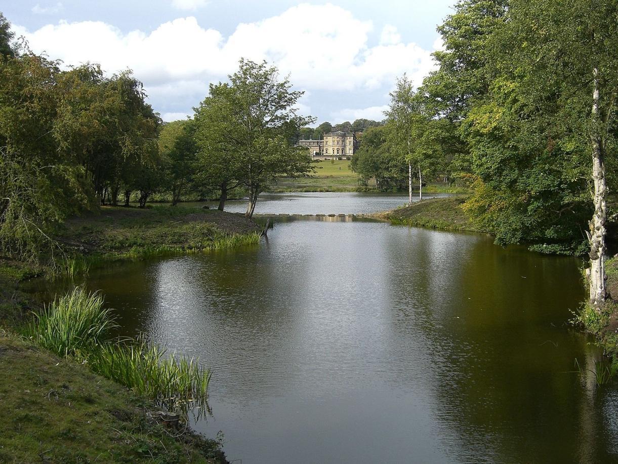 a landscape showing Bretton Hall estate and the Yorkshire Sculpture Park with a lake in the foreground, trees all around, and a large manor house in the distance
