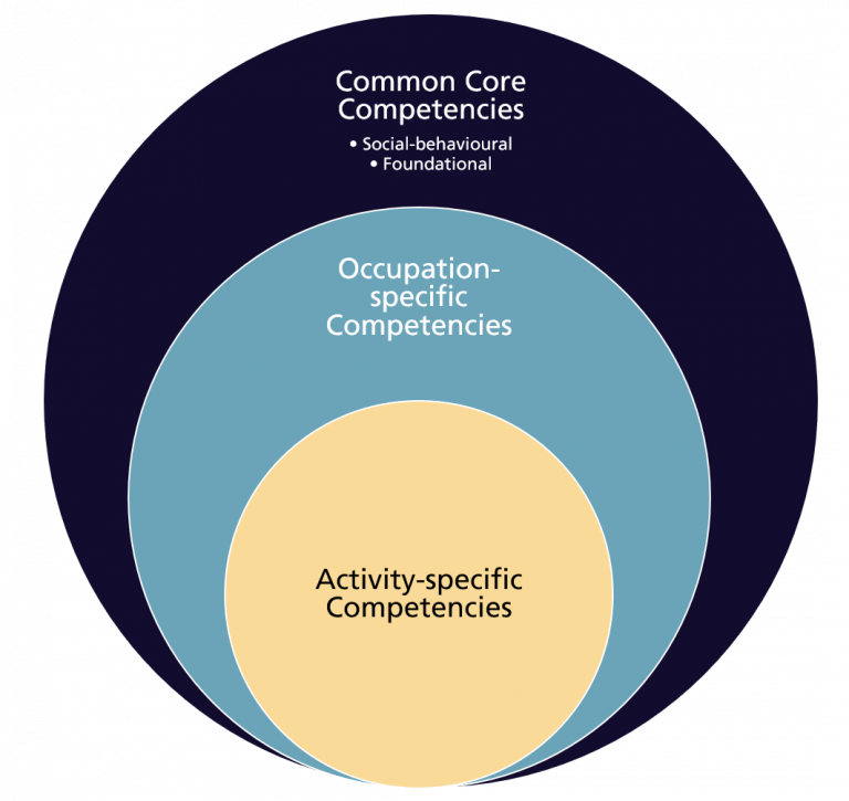 competency framework case study
