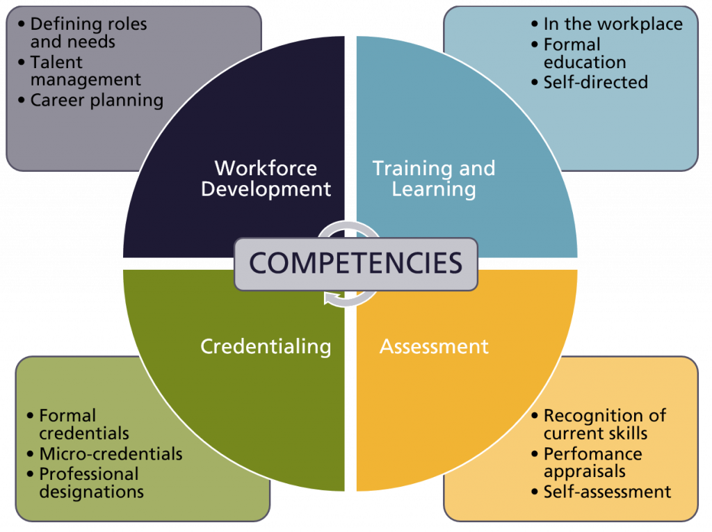 What Is A Training And Development Framework Webframes org