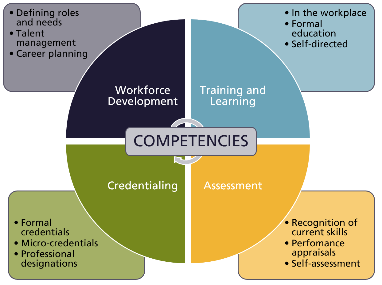 uses-for-competency-frameworks-ecampusontario-open-competency-toolkit