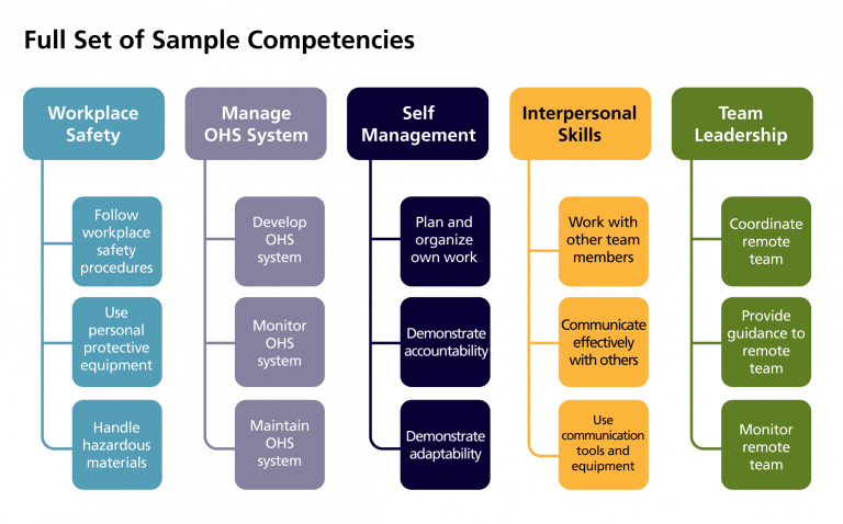 What Are The Skills And Competencies Required