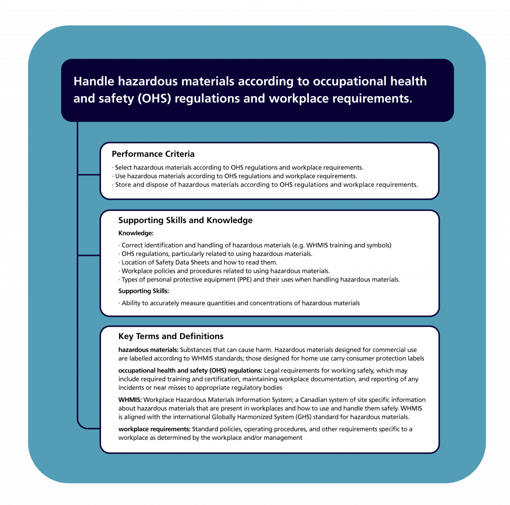 Detailed competency showing the competency statement and supporting information