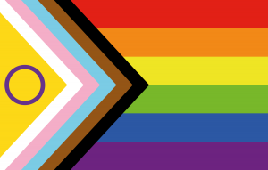 Intersex-inclusive pride flag with additional yellow chevron and purple circle to the left of the trans chevrons