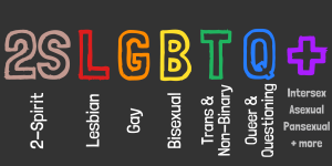 image showing the 2SLGBTQ+ acronym and the words associated with each letter (described in glossary)