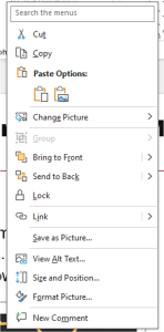 A screenshot of the right click menu for an image.