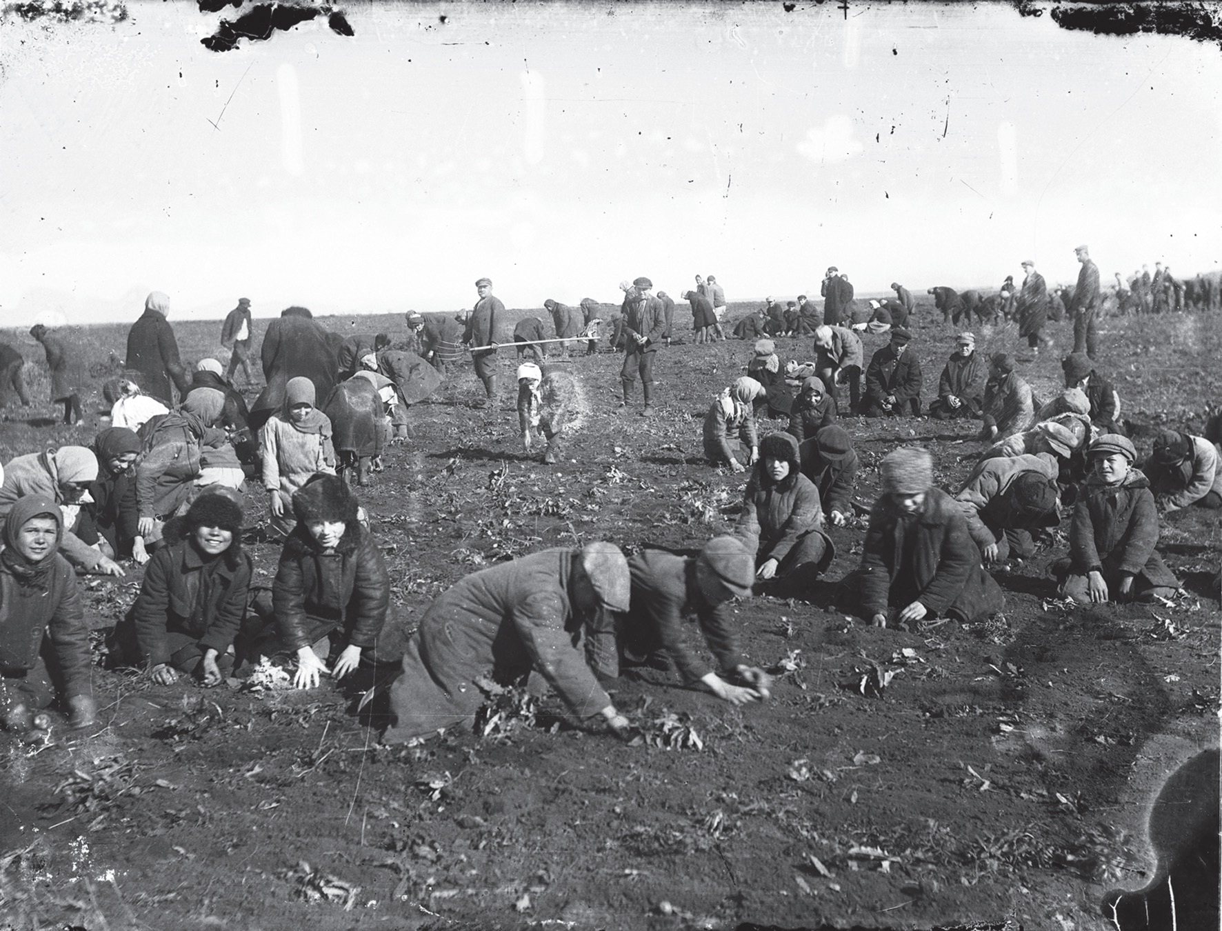Donetsk- Children digging for frozen potatoes during the Holodomor, 1933. Photo by: Marko Zhelezniak. Credits to: HREC Photograph Directory