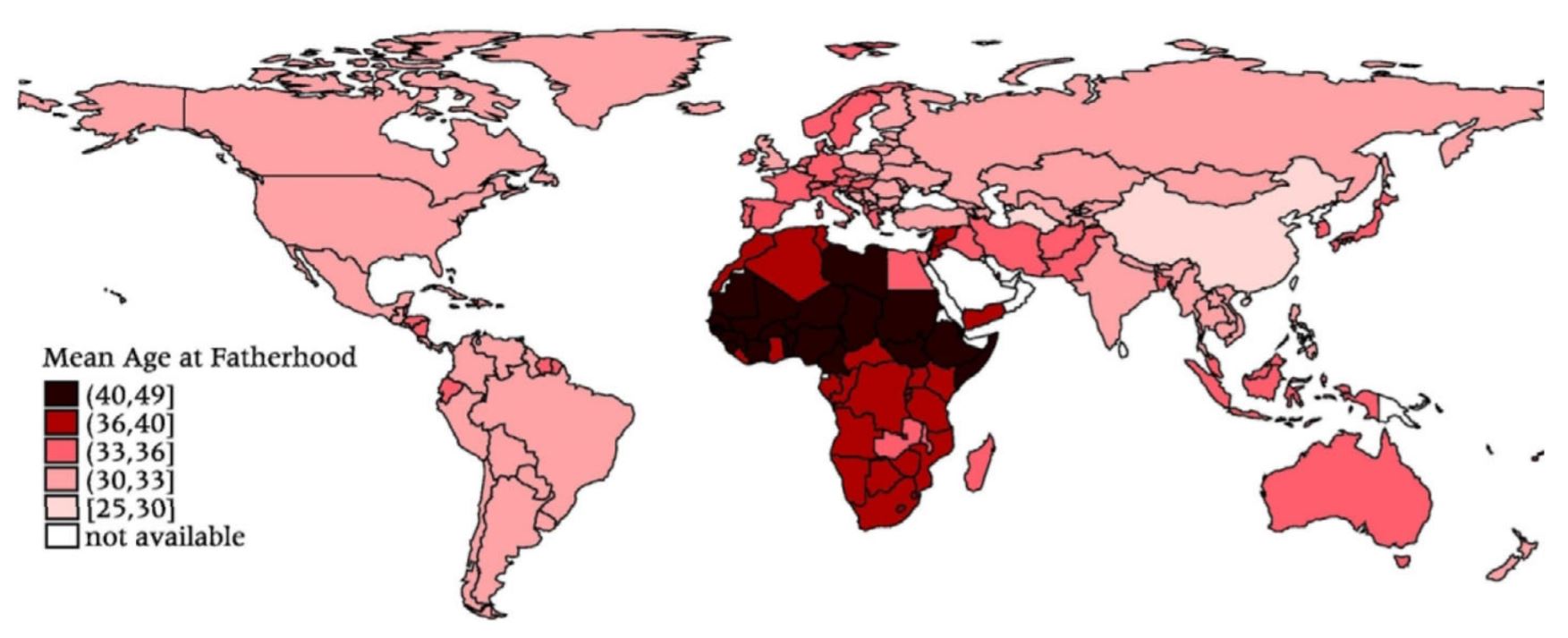 This is map of the world. Countries are shaded darker if the mean age at fatherhood is higher. Countries with the highest mean age of fatherhood are in Saharan Africa, where the average father is over forty years old. Parts of North Africa and most of Sub-Saharan Africa are next oldest. The Middle East, Western Europe, and Australia have older fathers than most of the countries in North and South America. China has young fathers.