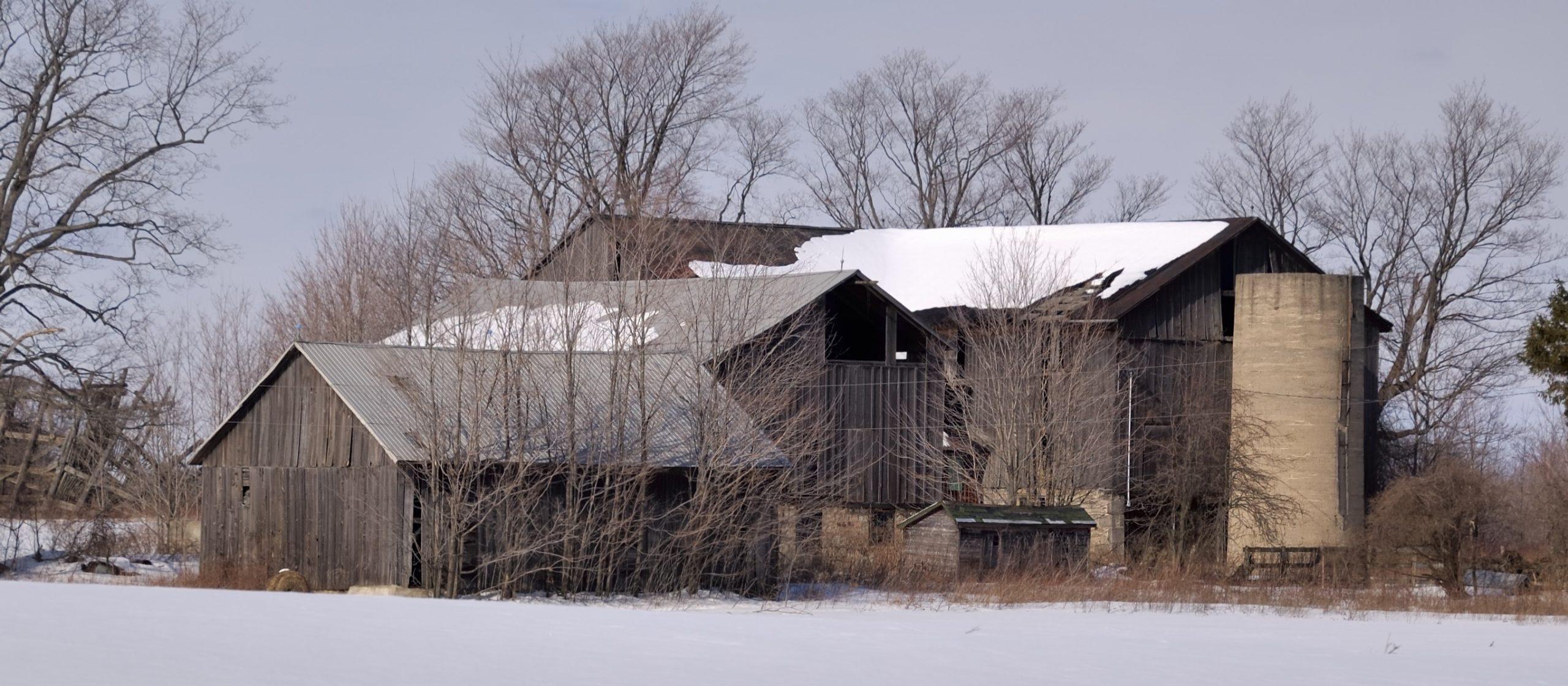 Abandoned farm, Nassagaweya Township, Halton Region, Ontario. (CC BY 2.0)