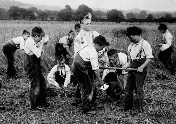 Group of boys working in a field at the Philanthropic Society Farm School (1898-1910). Credits to: Library and Archives Canada [MIKAN 4456336, 4447441] (Access 90 Open)