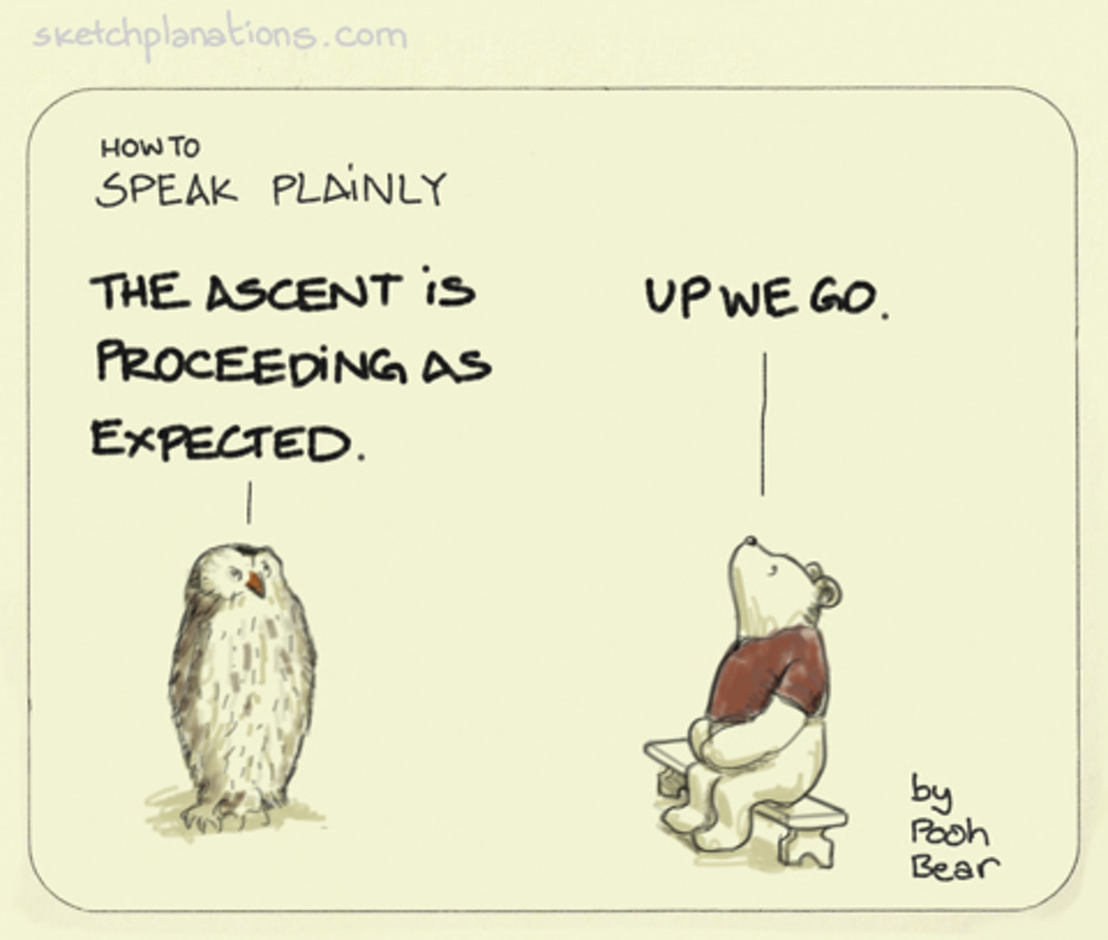owl and bear with complicated and plain statements