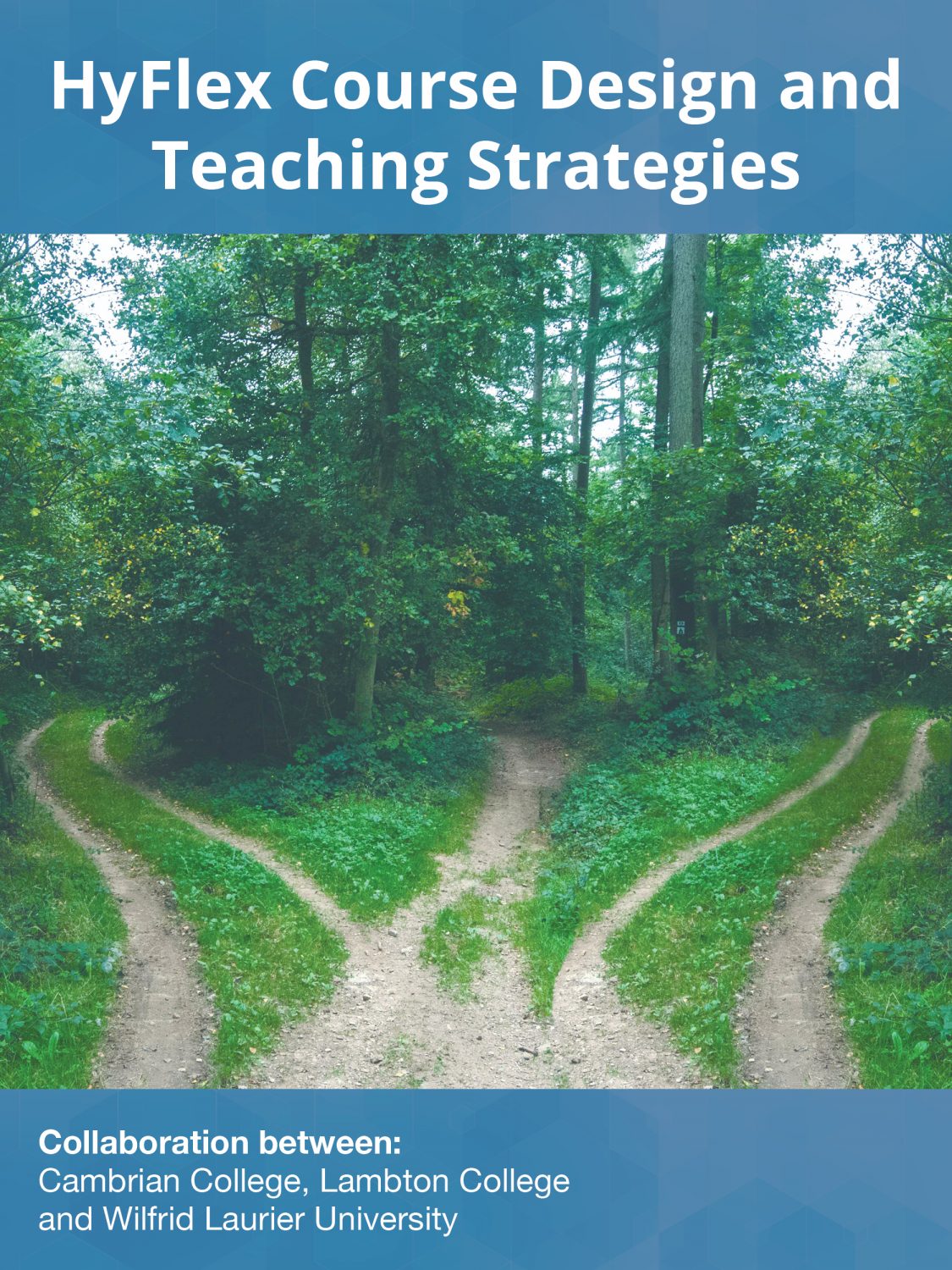 Cover image for HyFlex Course Design and Teaching Strategies