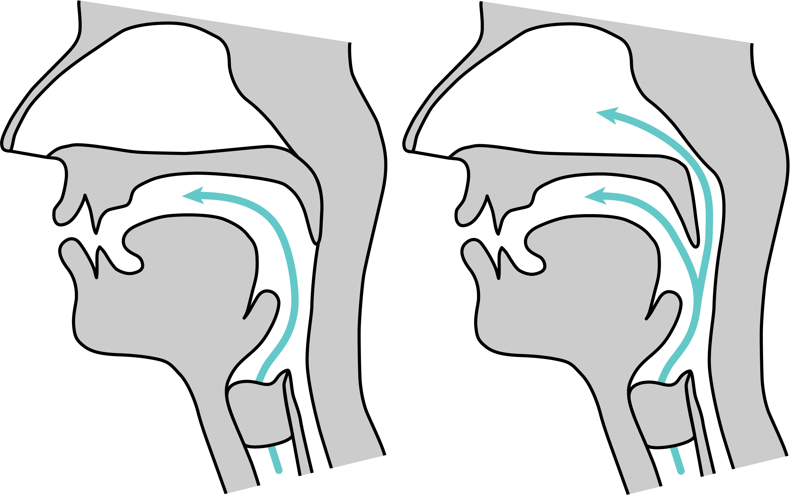 Two midsagittal diagrams, showing oral only airflow due to a raised velum (left) and simultaneous oral and nasal airflow due to a lowered velum (right).