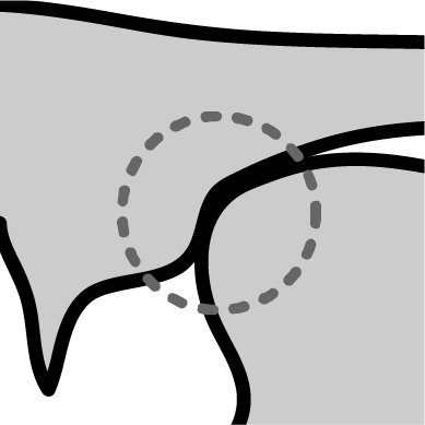 Midsagittal diagram of the tongue blade making contact with the back of the alveolar ridge.