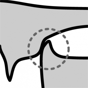 Midsagittal diagram of the front of the tongue curled back, with the underside of the tongue tip making contact with the back of the alveolar ridge.