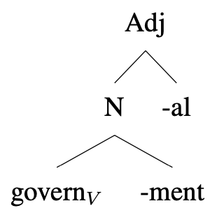 Determine your morphology