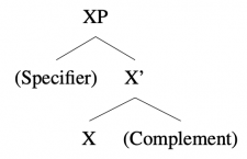 6.14 Trees: Introducing X-bar theory – Essentials of Linguistics, 2nd ...