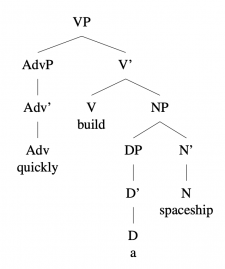 6.14 Trees: Introducing X-bar Theory – Essentials Of Linguistics, 2nd 