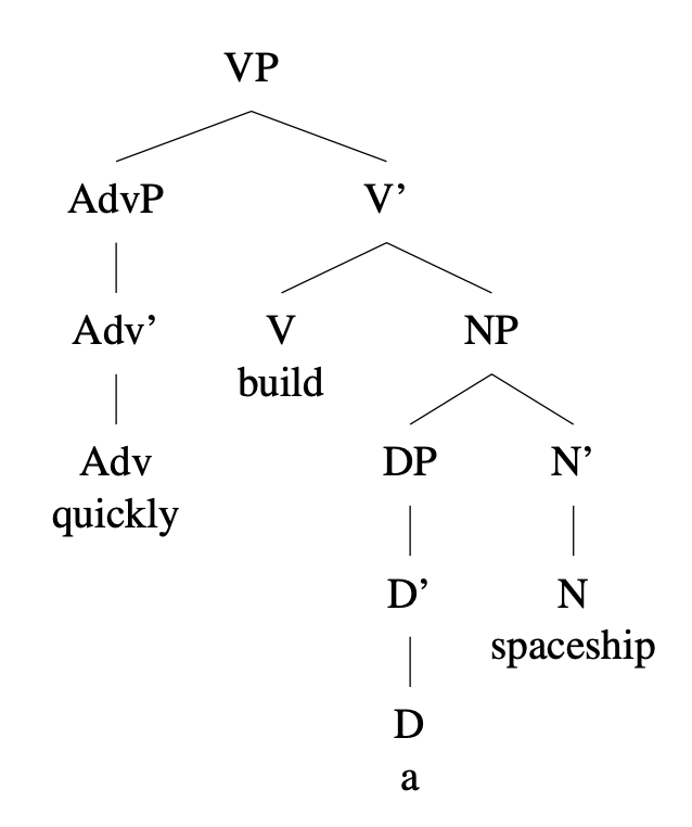 Tree diagram: [ VP [ AdvP [Adv' [Adv quickly ] ] ] [ V' [ V \\ build] [ NP [DP [D' [ D a ] ] ] [N' [N spaceship ] ] ] ] ]