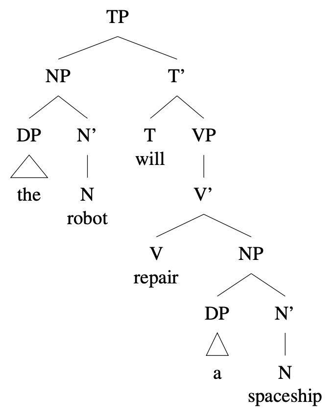 [ TP [ NP [DP [the] ] [N' [N robot ] ] ] [T' [T will ] [ VP [V' [V repair ] [NP [DP [a] ] [N' [N spaceship ] ] ] ] ] ] ]