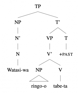 6.15 Trees: Sentences as TPs – Essentials of Linguistics, 2nd edition