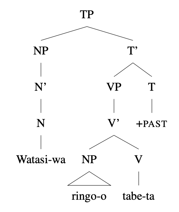 Tree diagram: [TP [NP Watasi-wa] [VP [NP ringo-o] tabe-ta ] +Past ]
