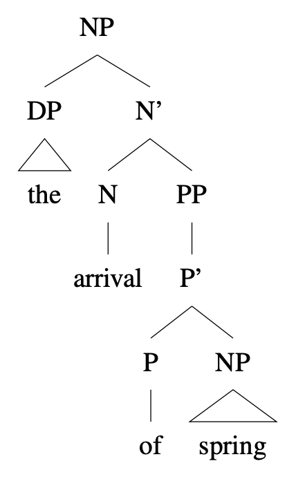 Tree diagram: [NP the arrival of spring]