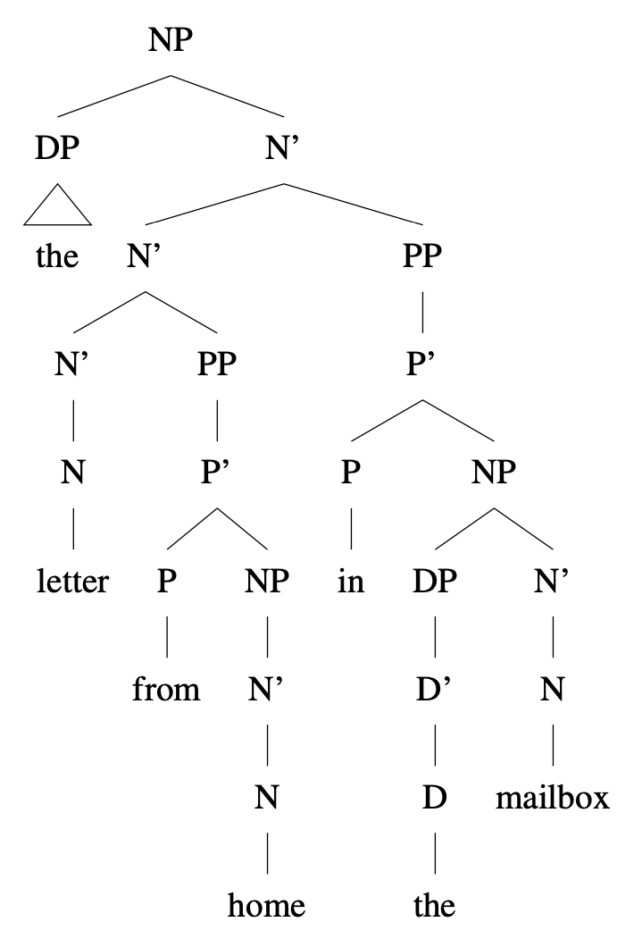 Syntax Tree X Bar