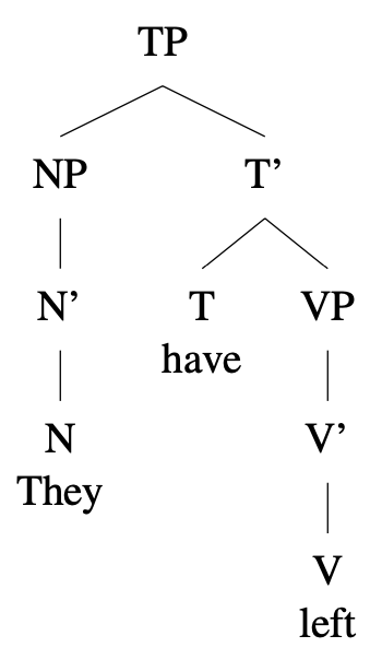 Tree diagram: [TP [NP They] [T have] [VP left]]