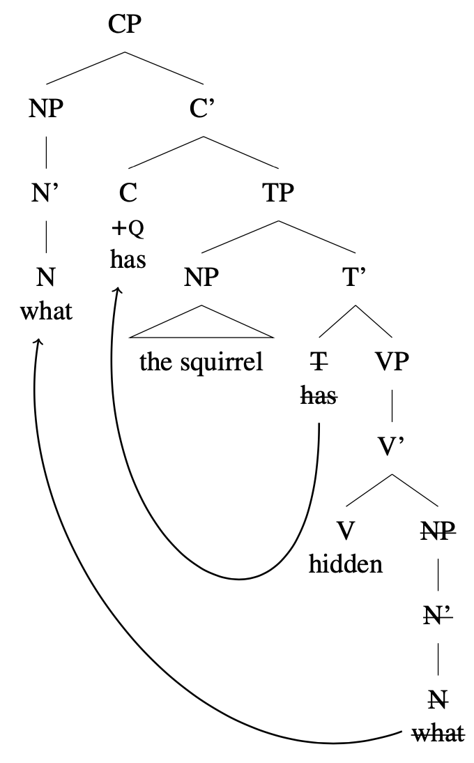 Tree diagram: [CP [NP what] [C' [C +Q have] [TP [NP the squirrel] [crossed out T crossed out have] [VP [V hidden] [crossed out NP crossed out what] ] ] ] ] Arrows from T to C and from lower what to higher what