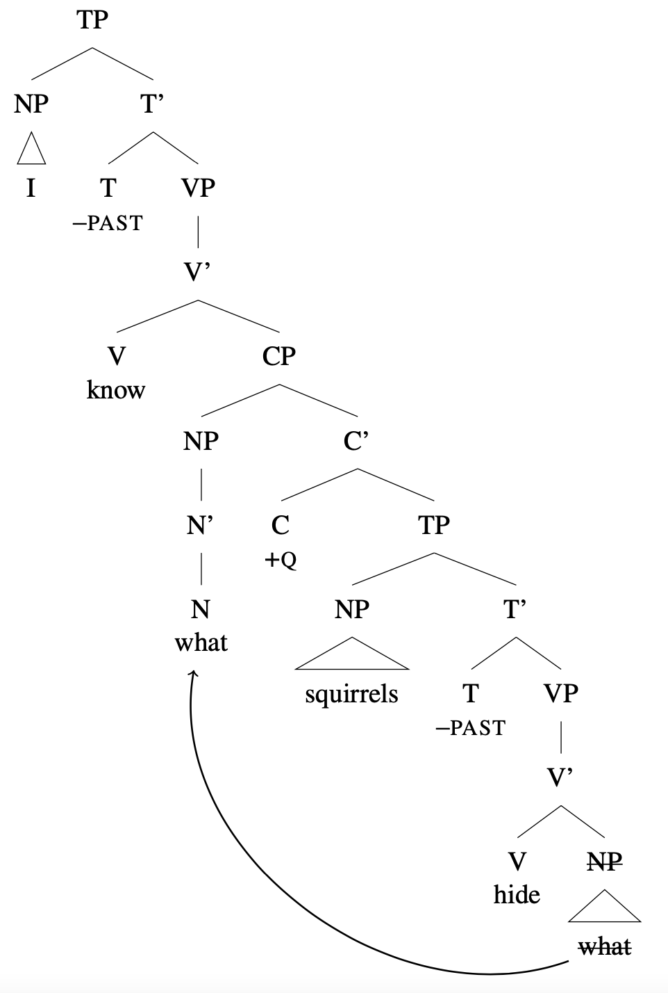 Tree diagram: [TP [NP I ] [T' [T -PAST] [VP [V' [V know] [CP [NP [N' [N what] ] ] [C' [C +Q] [TP [NP squirrels] [T' [T -PAST] [VP [V' [V hide] [crossed out NP nuts] ] ] ] ] ] ] ] ] ] ] arrow from lower "what" to "what" in embedded Spec,CP