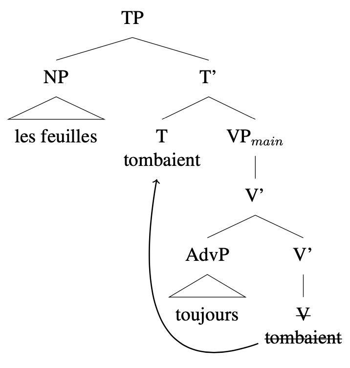 Tree diagram: [TP [NP les feuilles] [T' [T tombaient] [VP [AdvP toujours] [crossed out V tombaient] ] ] ] arrow from V to T
