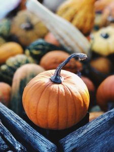 A small orange pumpkin in a bin with a variety of other squashes.