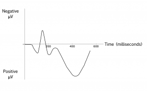 A sample diagram of an Event-Related Potential wave. Beginning at stimulus onset, the averaged electrical potential at a given electrode proceeds in a series of peaks and valleys over the course of several hundred milliseconds.
