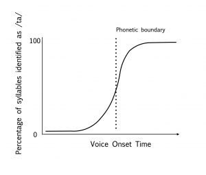 Graph of theoretical results of a phoneme identification task where Voice Onset Time is varied on a continuum. At short Voice Onset Times, nearly all responses identify a sound as [d]. At high Voice Onset Times, nearly all responses identify the sound as [t]. There is a short window of mixed responses around the [d]-[t] boundary, creating a sinusoidal (s-shaped) curve.