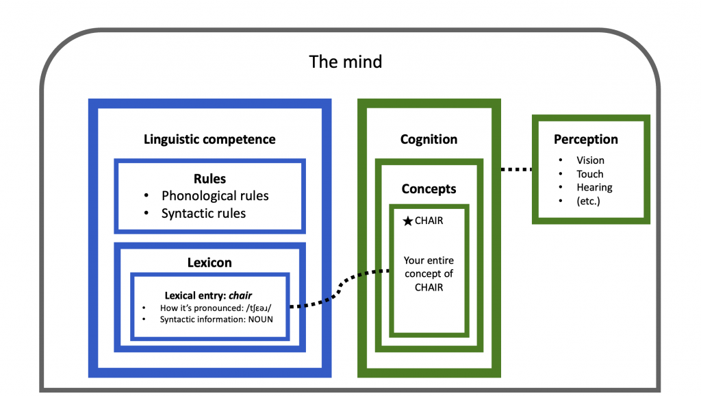 Architecture of the mind represented as a diagram using boxes. The lexicon does not have a lexical meaning of _chair_, but is connected to the entire concept of _chair_.