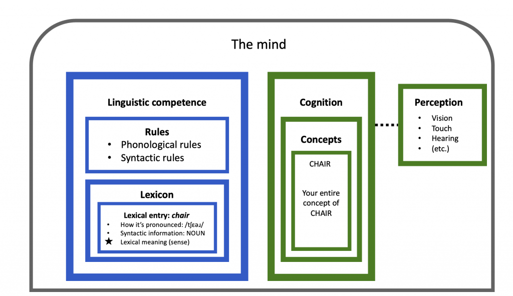Architecture of the mind represented as a diagram with boxes. The lexical meaning of _chair_ resides in the lexicon, and the concept of _chair_ resides in the cognition.