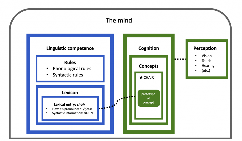 Architecture of the mind represented as a diagram with boxes. There is no lexical meaning of _chair_ in the lexicon, but it is connected to the entire concept of _chair_. The concept of chair has a prototype core.